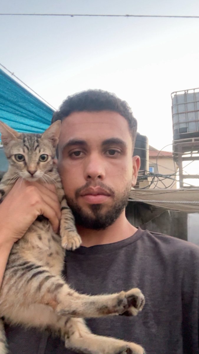 Mo7mmd30's tweet photo. My cats and I are still alive in Gaza.🇵🇸 https://t.co/Uk21gZMsOt