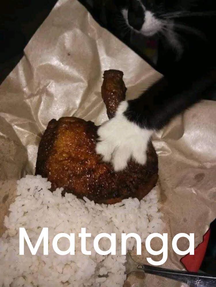 Mantequilla90's tweet photo. https://t.co/DM7wdpl41H