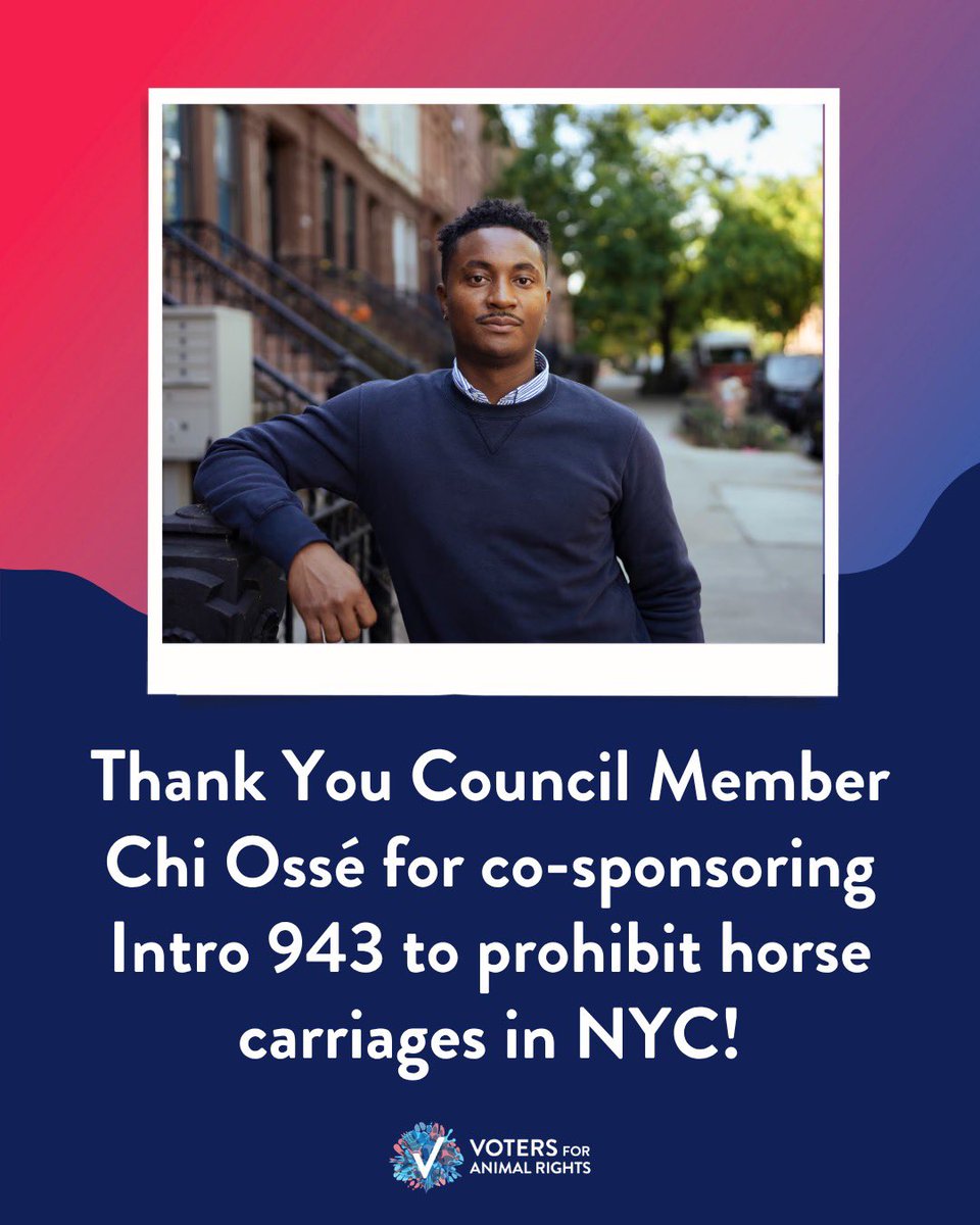 theanimalvoters's tweet photo. More progress! Council Member Chi Ossé is now the 17th co-sponsor of Intro 943 to ban horse carriages in NYC! 🐴

Thank you, @OsseChi, for supporting legislation to end the horse carriage industry in our city. Every new co-sponsor brings us one step closer to retiring the horses to loving sanctuaries.

#RydersLaw #RomanchsLaw #BanHorseCarriages
