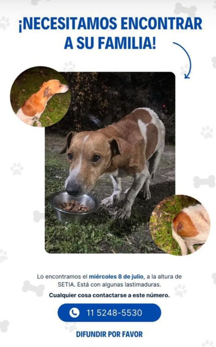 paraellostodo's tweet photo. https://t.co/TbKR7eFUki