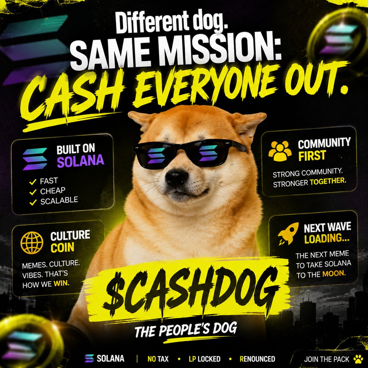 MgxOnChain's tweet photo. The dog everyone will wish they bought. 🐕💰 $CASHDOG https://t.co/D6WItRuC7z