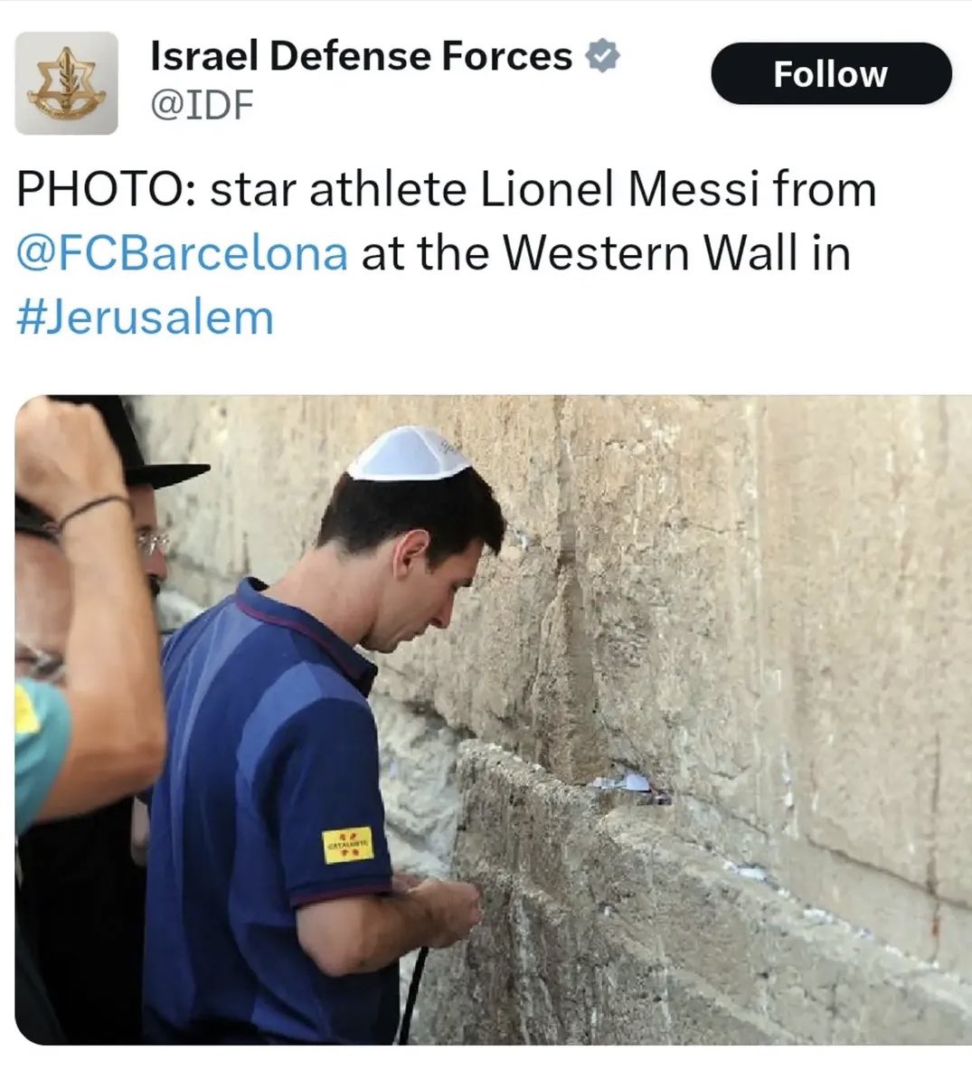 Propaganda and Co. tweet media