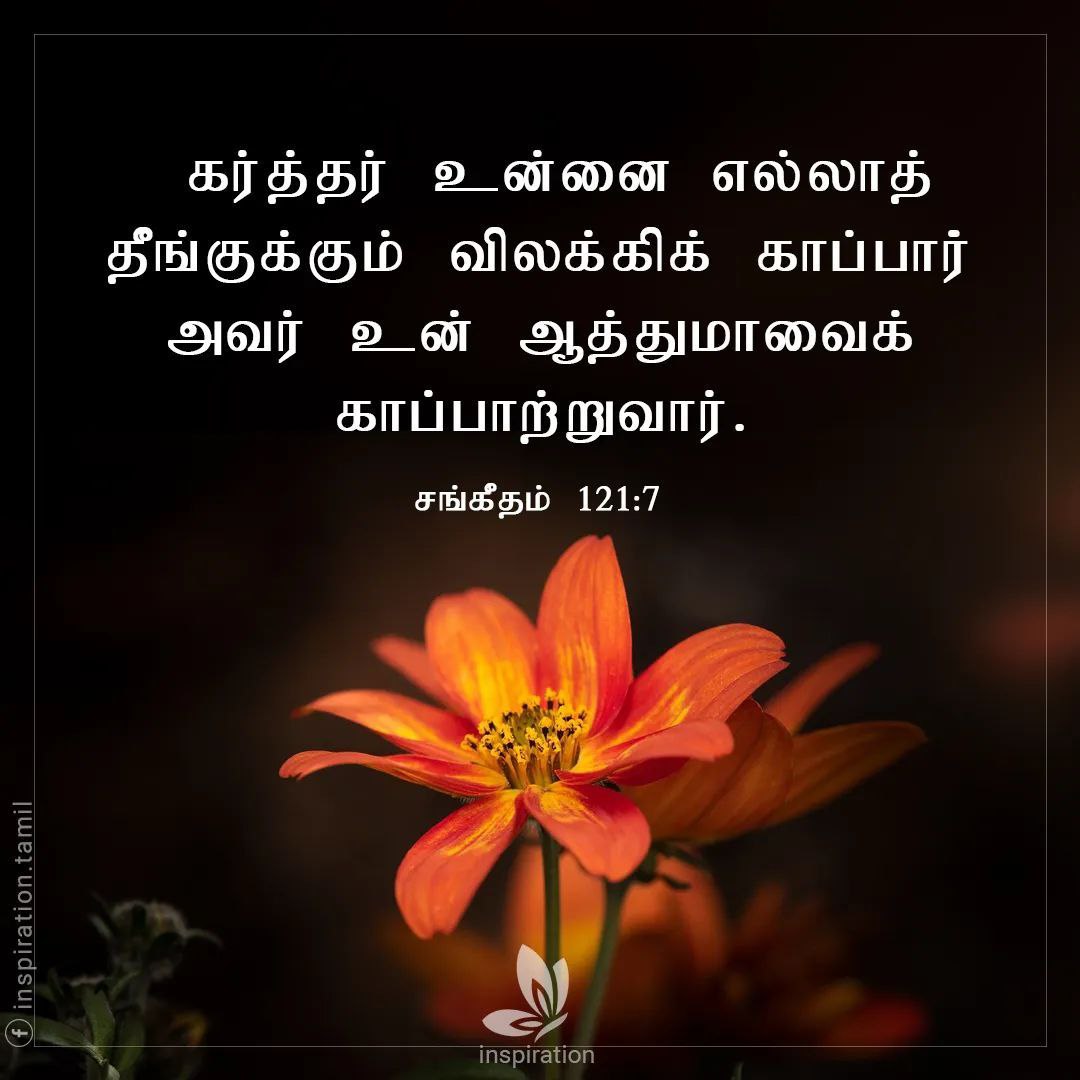 Gospels18's tweet photo. இன்றைய வேத வசனம் 📖👼 July09 #GospelsEverywhere #bible #todaysbibleverses #இன்றையவேதவசனம் #July09
இந்த வசனம் உங்கள் மனதிற்கு ஆறுதல் அளித்ததா? இது போன்ற தினசரி இறைவார்த்தைகளைப் பெற எங்களைப் Follow செய்யுங்கள். உங்கள் நண்பர்களுக்கும் பகிர்ந்து ஆசீர்வாதமாக இருங்கள்! https://t.co/wJZG3XsIFL