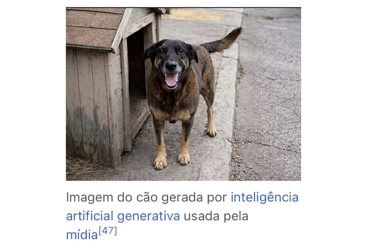 Serafim_zx's tweet photo. Brutal que o cão orelha foi gerado por IA e todo mundo se comoveu e pediu até redução da maioridade penal.
KKKKKKKKKKKKKKKKKKKKKKKK https://t.co/TSd2WG8eyN