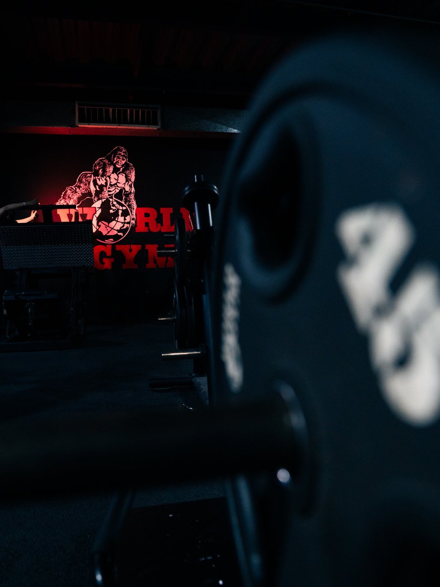 WorldGymMexico's tweet photo. Cada entrenamiento cuenta una historia diferente.

La pregunta es…

¿Qué historia estás escribiendo hoy? 🏋🏻‍♀️🔥

See you at World Gym 🦍🌎
Where Champions Are Made

#worldgym #wherechampionsaremade #worldgymmexico #gymmexico https://t.co/rrmKbQVLxM