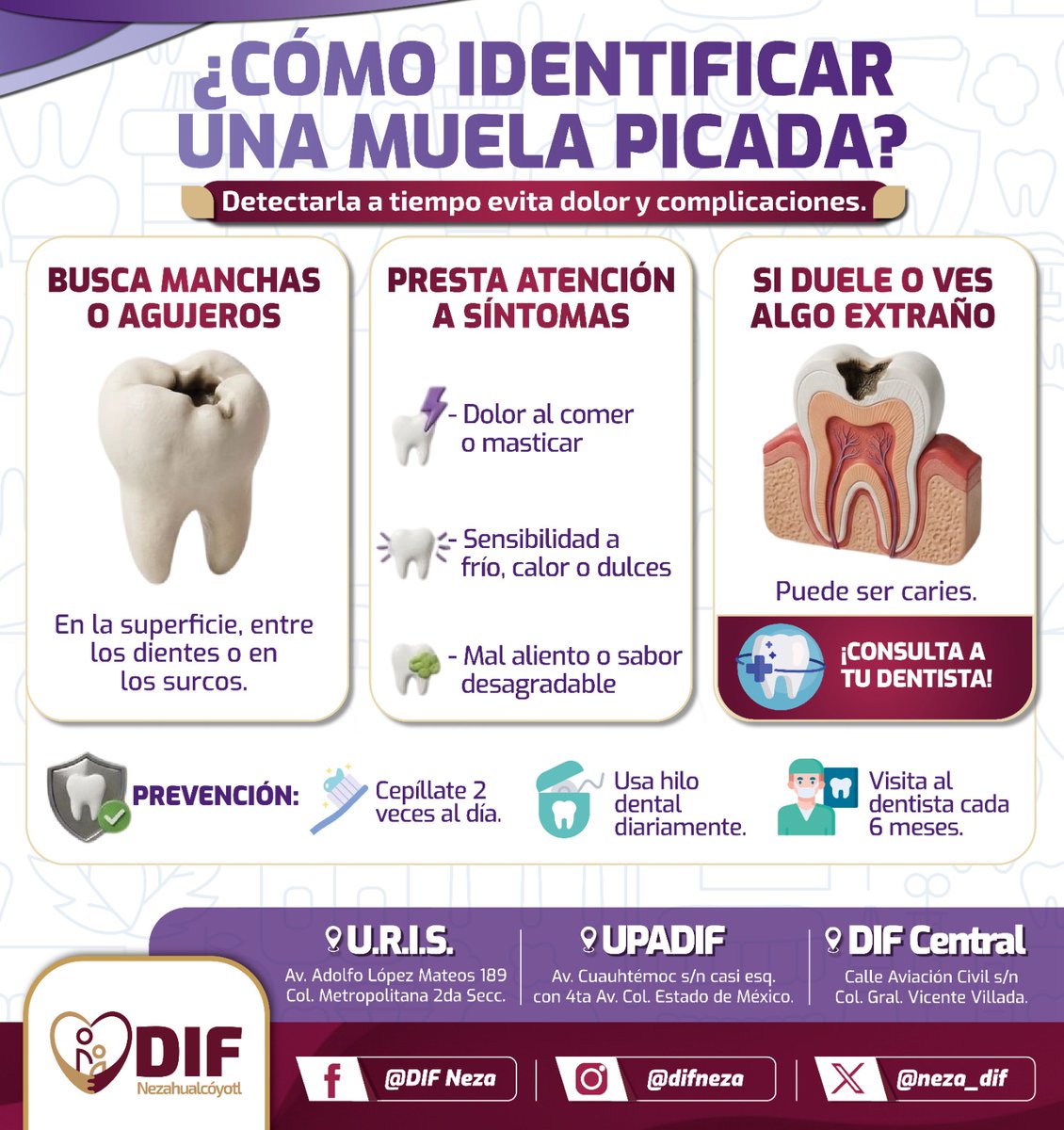 neza_dif's tweet photo. #SaludBucal 🪥 | No dejes que el dolor de muela afecte tu día a día 😣

En el #DIFNeza estamos para ayudarte con atención odontológica accesible y de calidad para ayudarte a cuidar tu sonrisa 😃🦷

#DIFNeza 💜 #PorAmorALaFamilia 👨‍👩‍👧‍👦 https://t.co/orVZWhEyyI