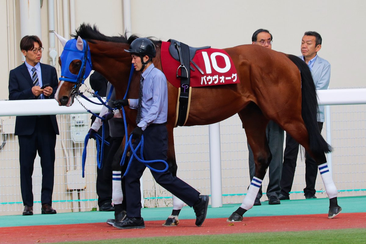 gambacity's tweet photo. 2026年7月9日
笠松競馬場で行われる
「ぎふ清流カップ」
兵庫県競馬から
クリスタルピット
ゴーゴーツヨシ
バウヴォーグ
ベラジオソニック
4頭が遠征
応援よろしくお願いいたします！！ https://t.co/98VCjZ7eyC
