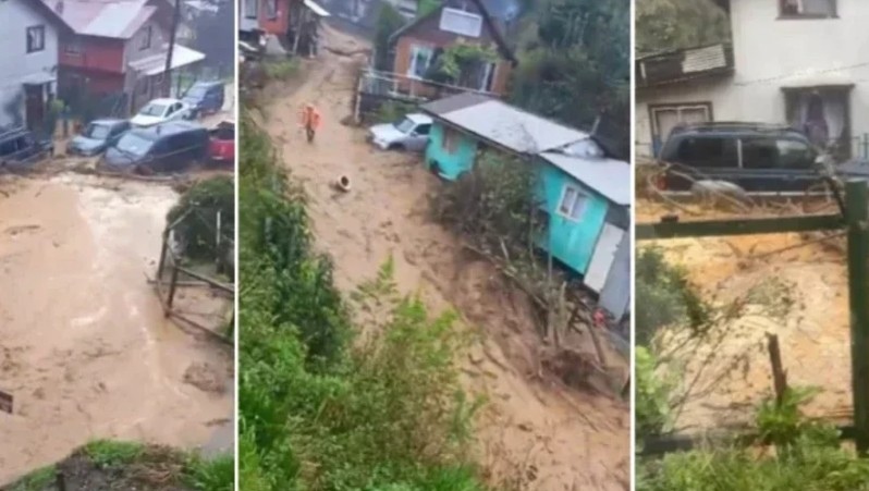 TarquinoPaspala tweet picture