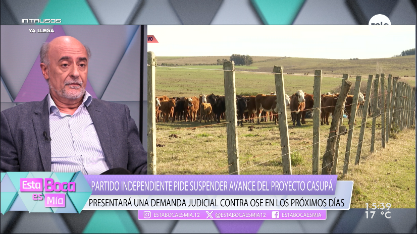 Estabocaesmia12's tweet photo. ➡️ Recibimos a @Pablo_Mieres, presidente del @pindependiente_  

#EstaBocaEsMía 📺 @teledoce https://t.co/LsYiR3tmSg