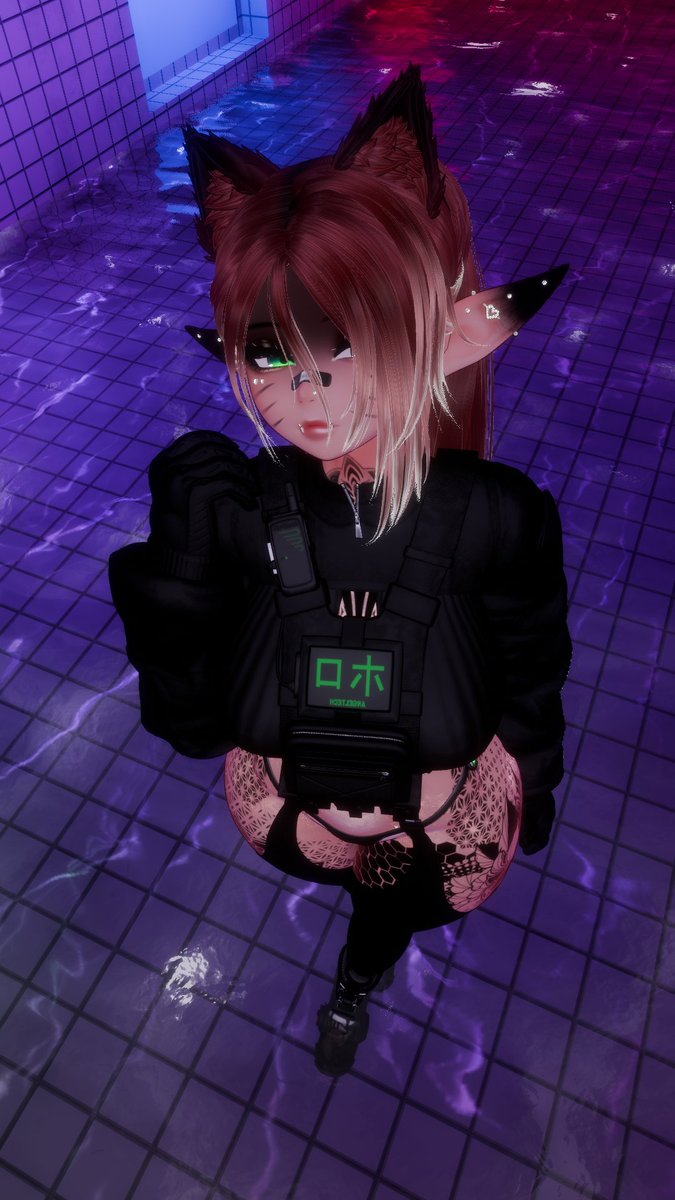 TUTEVR tweet picture