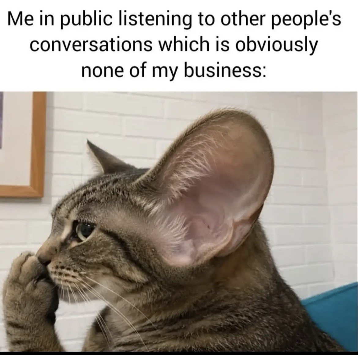 PowerfulAuraX's tweet photo. https://t.co/Bfc7MDYxj4