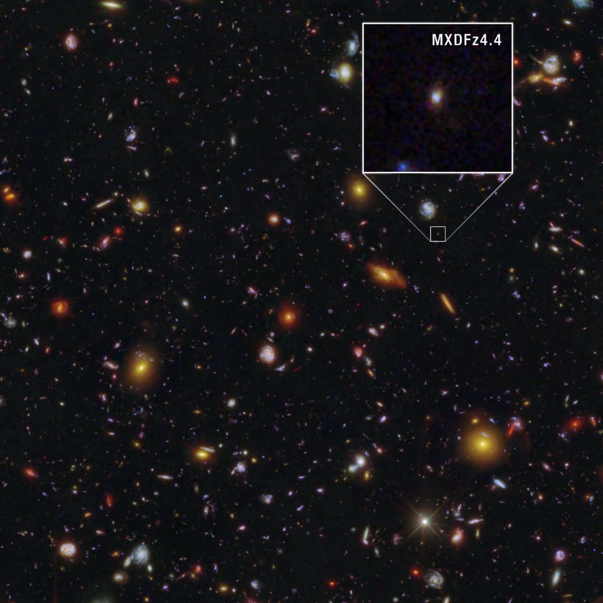 NASAGoddard's tweet photo. A glimpse back in time

Astronomers using @nasahubble found a galaxy that existed at the end of a transformative period in our universe — just 1.4 billion years after the big bang. Observing a galaxy like this one was previously thought to be impossible.

https://t.co/tXU1T5HEJF https://t.co/dgjwGQrXsZ