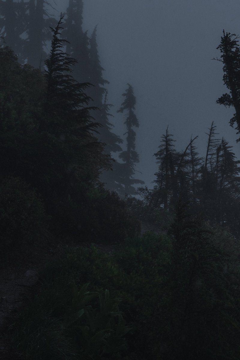 blodgrevinnen's tweet photo. missing the fog https://t.co/Sd31Dk6fRB