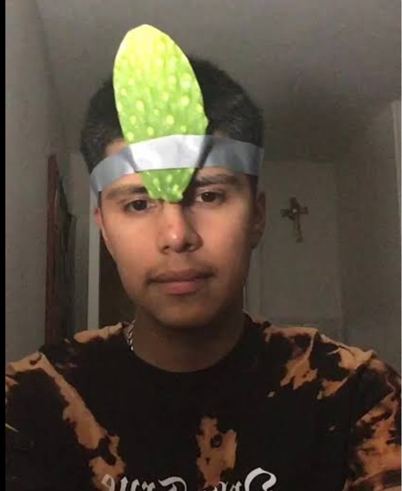 manu_sando01's tweet photo. @LectorHistoria jajajajaja hiciste que me acordara de varios compañeros con los cuales me he cruzado desde la escuela hasta el trabajo, son algo mas o menos así... https://t.co/zDGA6Y7ket