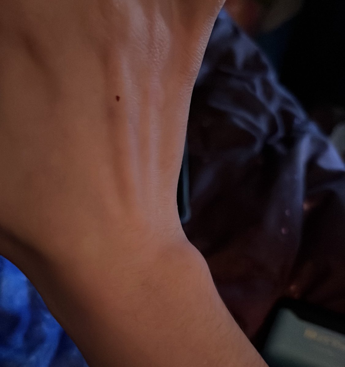 00spaceangel's tweet photo. i love that lil bone right there https://t.co/GFbFXjQ7y1
