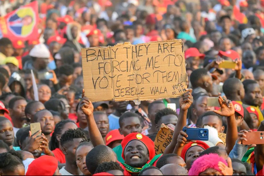 shingwe23448's tweet photo. https://t.co/dHFp61RUmd