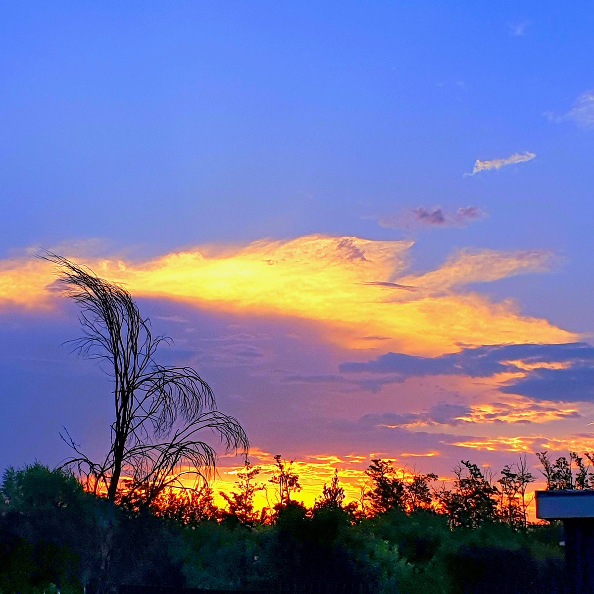EmilianoVerga's tweet photo. Un asciugacapelli
il vento rovente
colori dei pastelli
il bagliore della mente
#SerateInLibertà @CasaLettori
#istantaneeDa Bollate, Milano #inLombardia
#ThePhotoHour #scritturebrevi
#StormHour https://t.co/ITK49Tl11h
