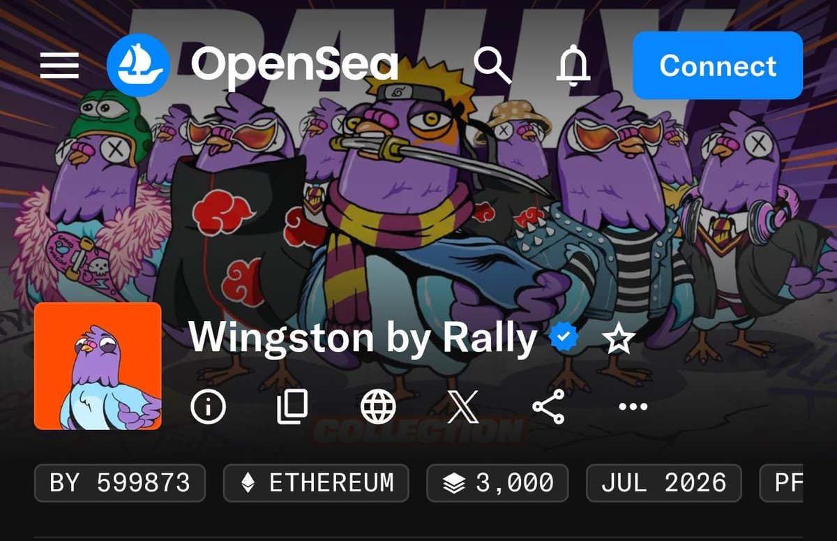 RallyOnChain's tweet photo. Wingston is now verified on @OpenSea !

👉 https://t.co/ausAQswk27 https://t.co/nibQEpFal5