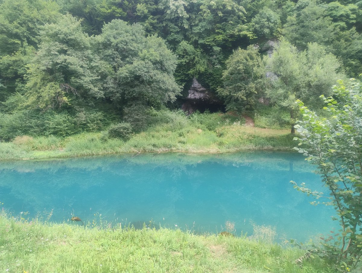 DrazewskiL's tweet photo. Krusnica i jej źródło. Spacer w absolutnej ciszy i odosobnieniu. Co kilkaset metrów tabliczki informacyjne dla wędkarzy. https://t.co/4c8zYDBlFR