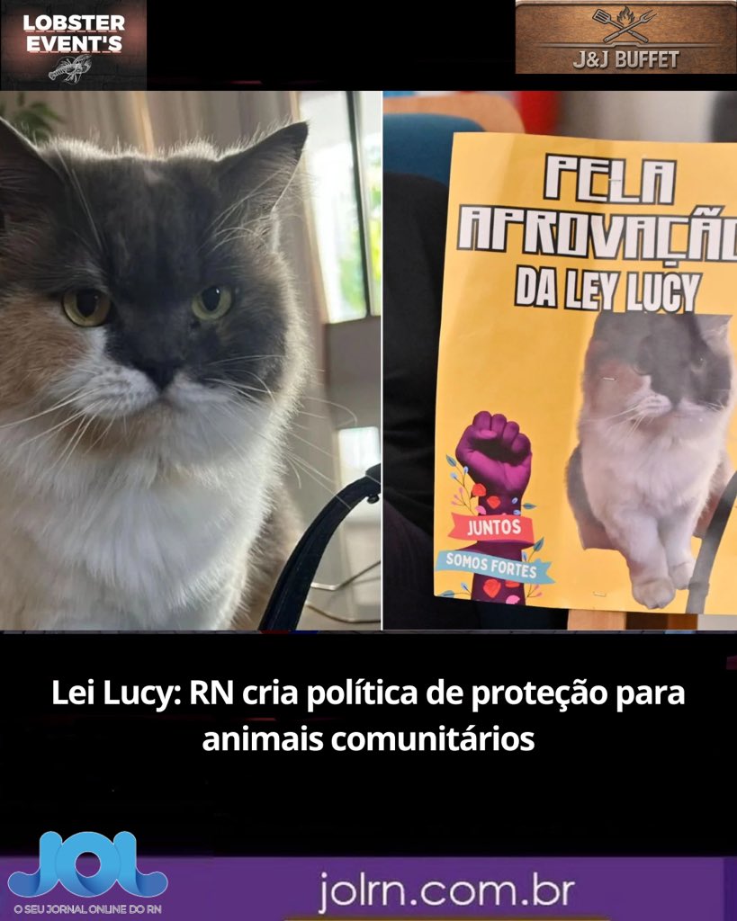 PortalJOLRN's tweet photo. Lei Lucy: RN cria política de proteção para animais comunitários

🗞️💻 Continue conectado e confira todas as matérias do dia na íntegra acessando o portal:

https://t.co/MyPEkqD3gh https://t.co/dEnJ5GFxAq