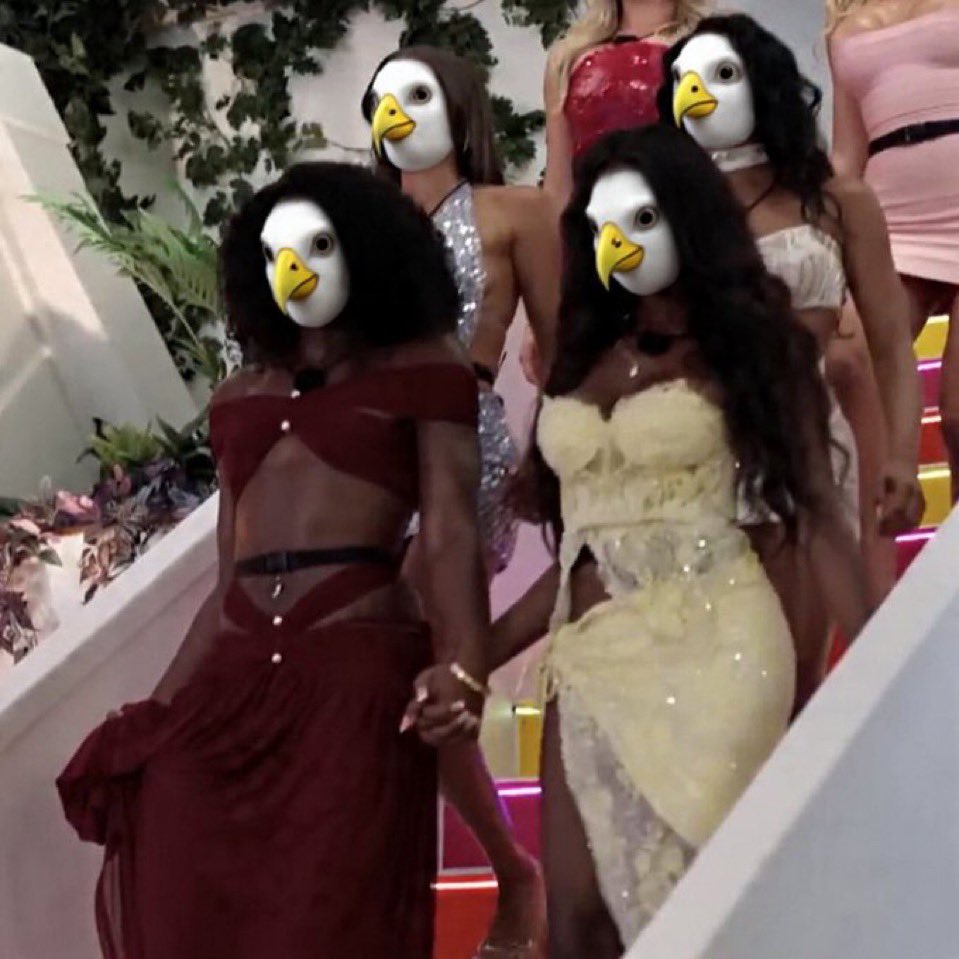 CoziJigga's tweet photo. @_iDoTheMost The Birds Nest https://t.co/hY2BUu98P6
