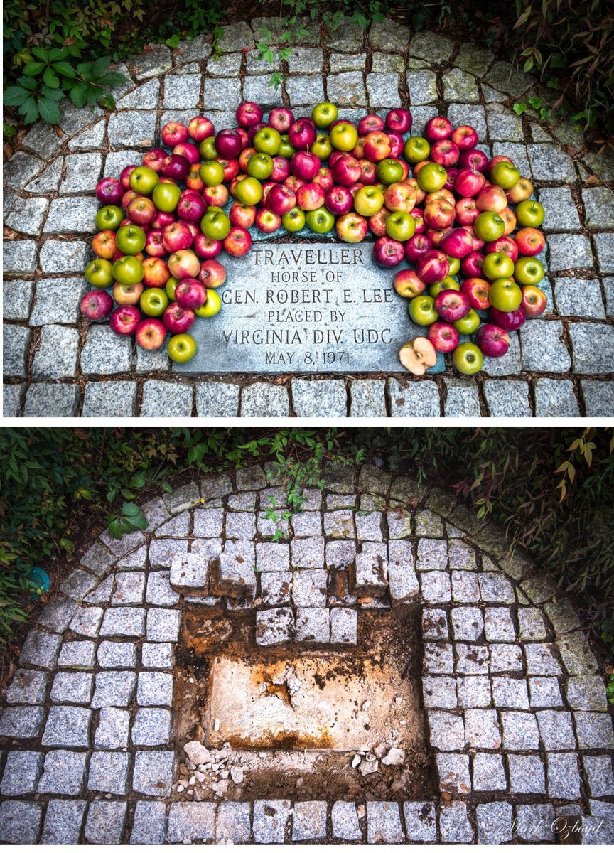 theoldworldshow's tweet photo. The Russian Bolsheviks attempted to wipe an entire breed of dog (the Borzoi) out of existence because it was associated with the Russian aristocracy

During America’s cultural revolution, Washington Lee University tried to erase the grave of Traveller, Robert E Lee’s Horse, by breaking up his old tombstone and carting it away when no one was watching. Eventually, they put up a less ornate tombstone that has no context.

The bullshit are so spiteful in such mutants that they would wipe away even animals that aren’t in line with their ideology

They can be defeated, or they will try to wipe us away as they tried to wipe the borzoi and Traveller away

There is no middle ground

There is no opportunity for compromise
