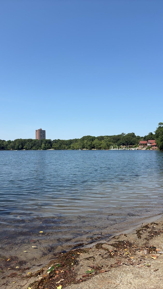 Brocc85's tweet photo. A nice day to get tanning 

#boston #sunny #life https://t.co/QeFXdEZWjP