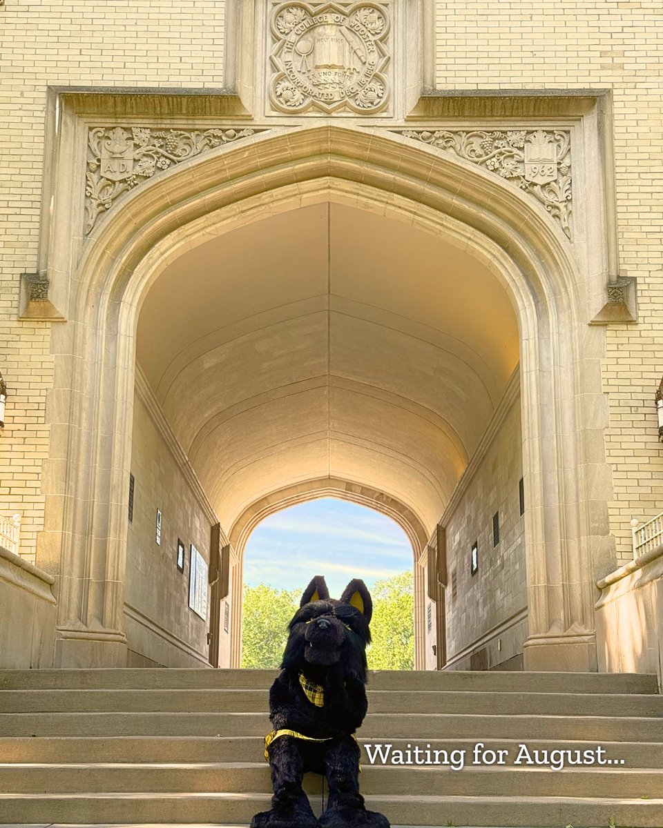 WoosterEdu's tweet photo. Patiently waiting for August so we can see all of your faces again. ๐ฅน๐ค๐พ
#Summertime #GoScots #Archie https://t.co/eWop0yLp5Z