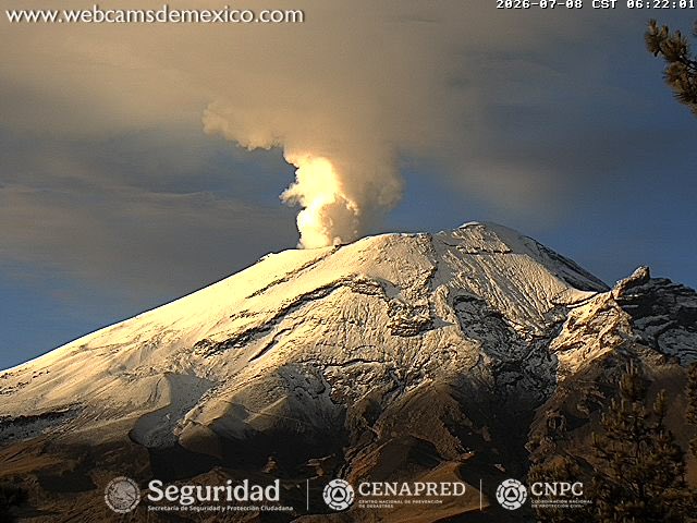 InfoMeteoro's tweet photo. ❄️Bellísimo amaneció el #Popocatépetl cubierto de nieve y con exhalación

🌲Las lluvias y nevadas están aumentando en la zona para seguir beneficiando bosques y cuerpos de agua

¿Lo vieron esta mañana?

📸 @webcamsdemexico y @Diegoxx_YT https://t.co/h0JZjGqChd