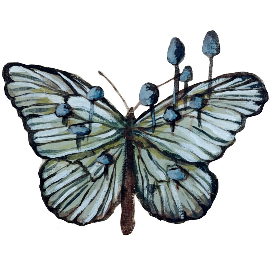 leafmadeart's tweet photo. some butterflies for your feed ⊹ ࣪ ˖
#butterfly #butterflyart #painting https://t.co/fEg7oT829x