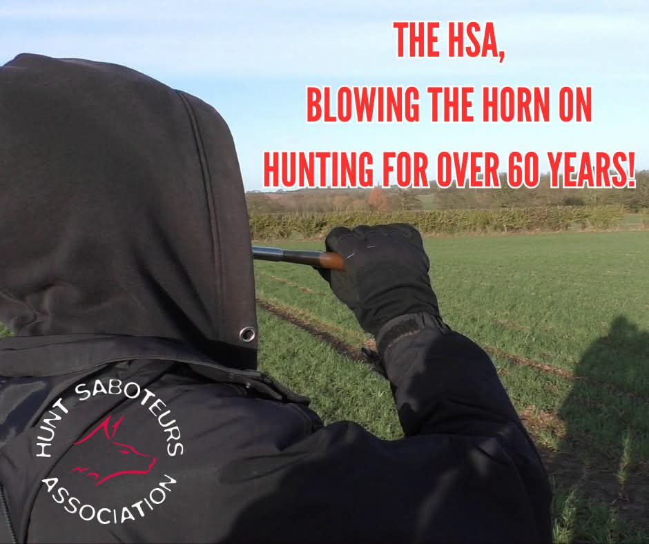 HuntSabs's tweet photo. For over 60 years the HSA has been saving lives and exposing the true, grim reality of blood sports, through non-violent direct action. 

This would not have been possible without the support of our followers, so thank you to each and every one of you. 

By becoming a member of the HSA you will help to keep affiliated groups in the field, saving lives. You will also receive a free subscription to our magazine, 'HOWL.' 

Join today https://t.co/s1vpFst2JT