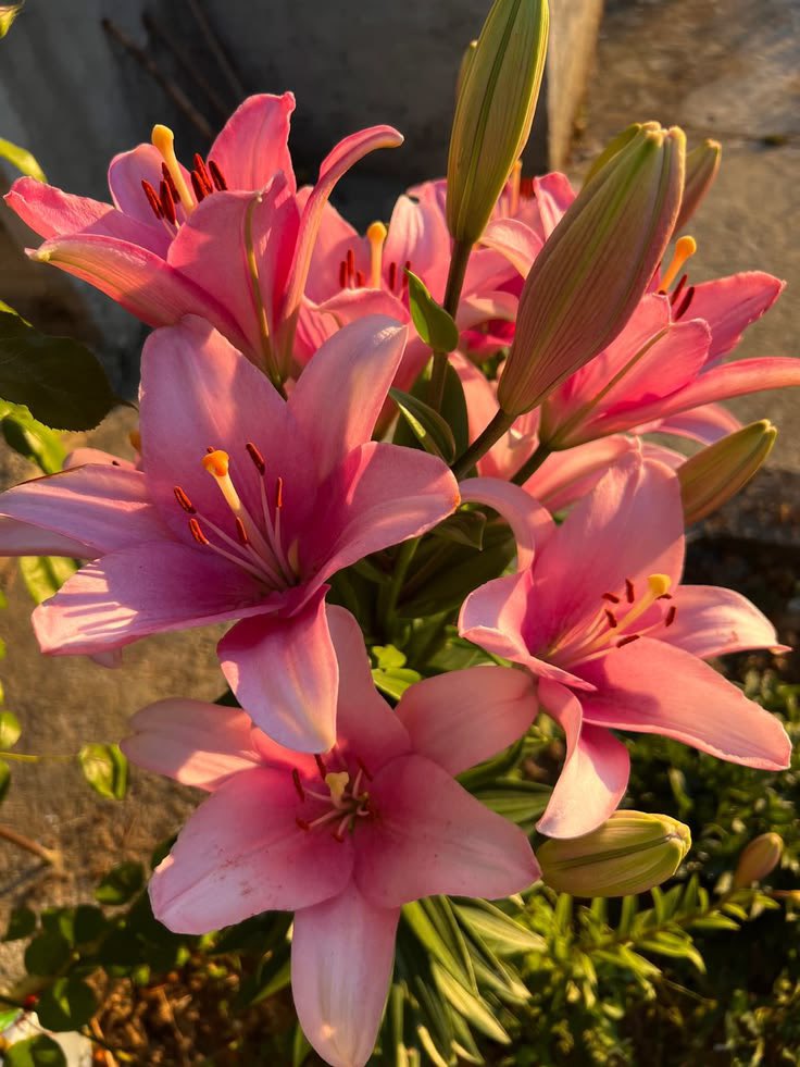 rglsze's tweet photo. how does pinterest see you? 
-thai bl ship
-flower
-song lyric
-color

beni baya iyi öğrenmiş https://t.co/A7sq6AgYak
