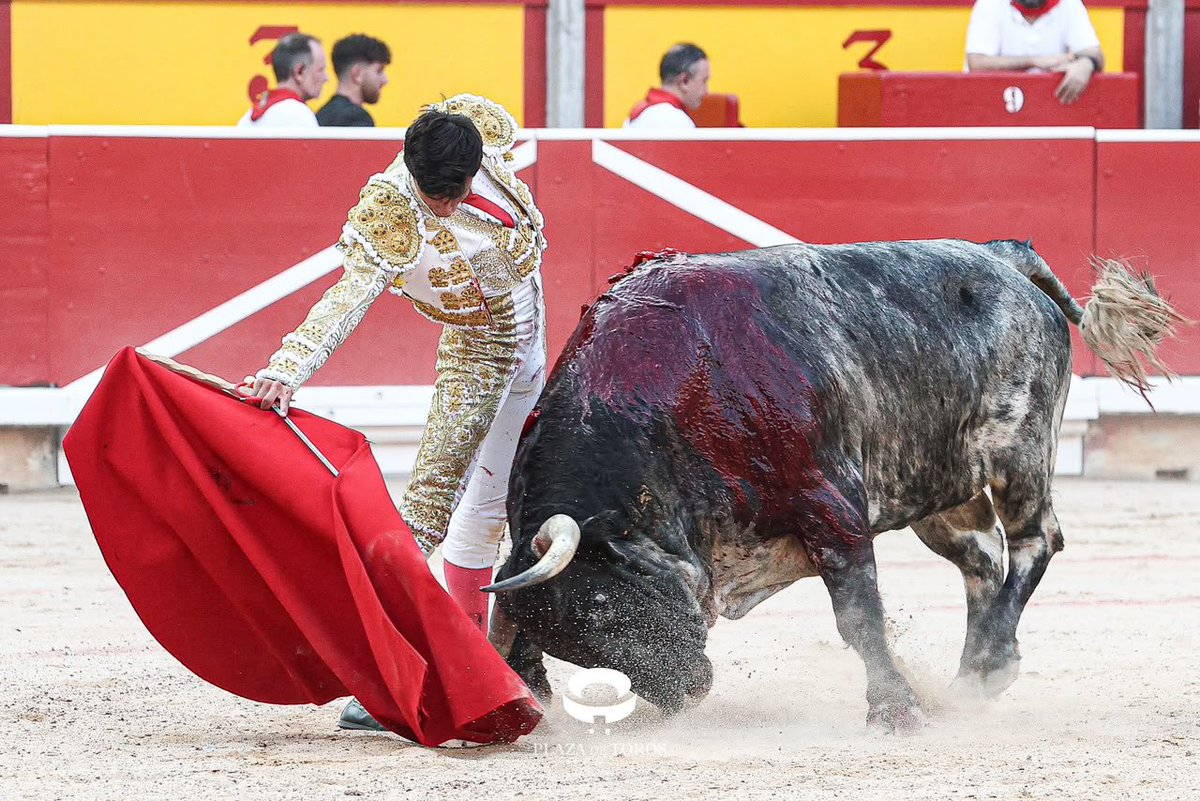 feriadeltoro's tweet photo. [ 🔻𝟲º 𝗧𝗢𝗥𝗢] 

Oreja para Manuel Diosleguarde en el cierraplaza

#SanFermin #FeriaDelToro https://t.co/czuTwGOD5w