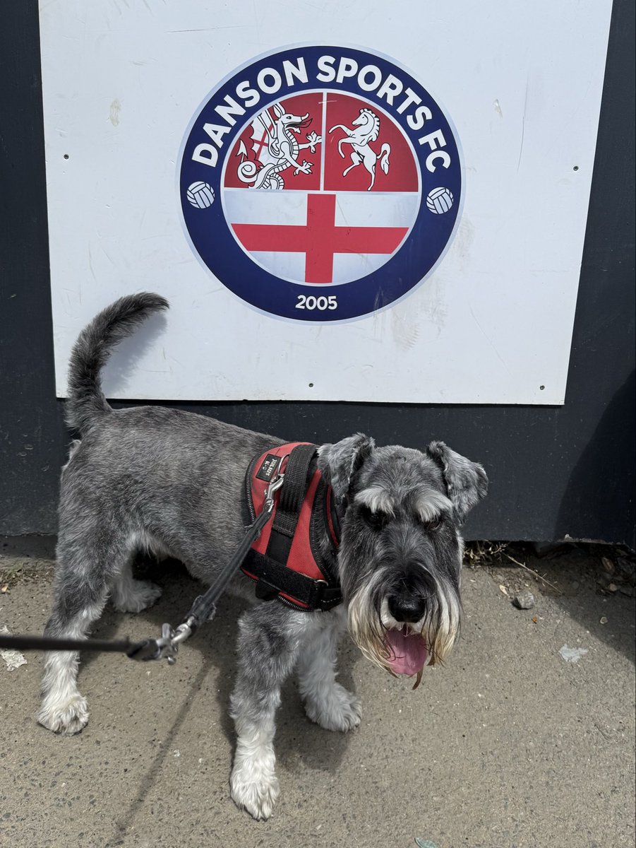 nonleaguedogs's tweet photo. Weโre back with the first #waffleswednesday of preseason @wellingunited v @EBTheDeres
๐ธ @MrWafflesTheDog https://t.co/sJ9Pj3XURl