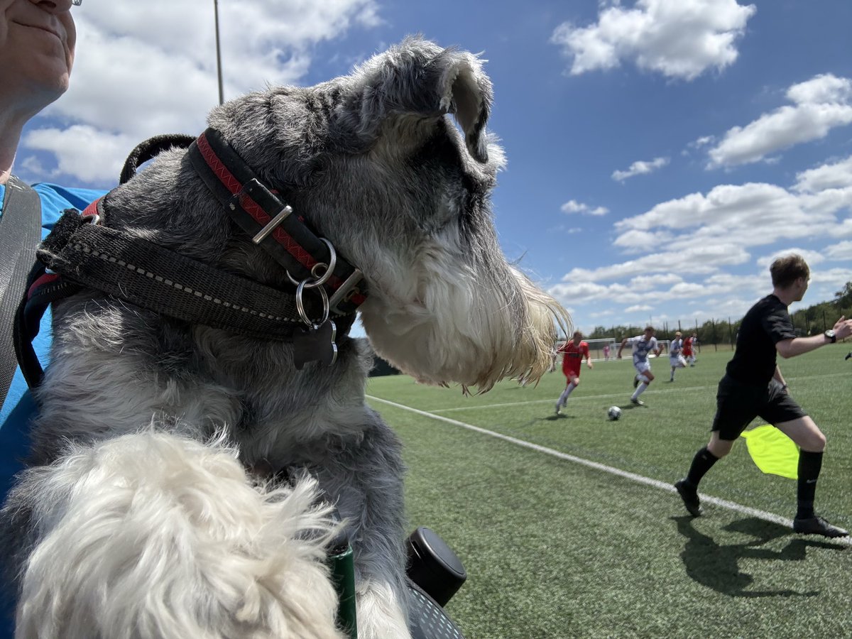 nonleaguedogs's tweet photo. Weโre back with the first #waffleswednesday of preseason @wellingunited v @EBTheDeres
๐ธ @MrWafflesTheDog https://t.co/sJ9Pj3XURl