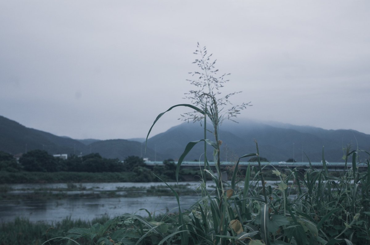 hiroyki_m's tweet photo. 薄明から朝の時間

寝れない時は時折、朝の風景を撮りに行くこともあります。 https://t.co/hK9rVsMnn7