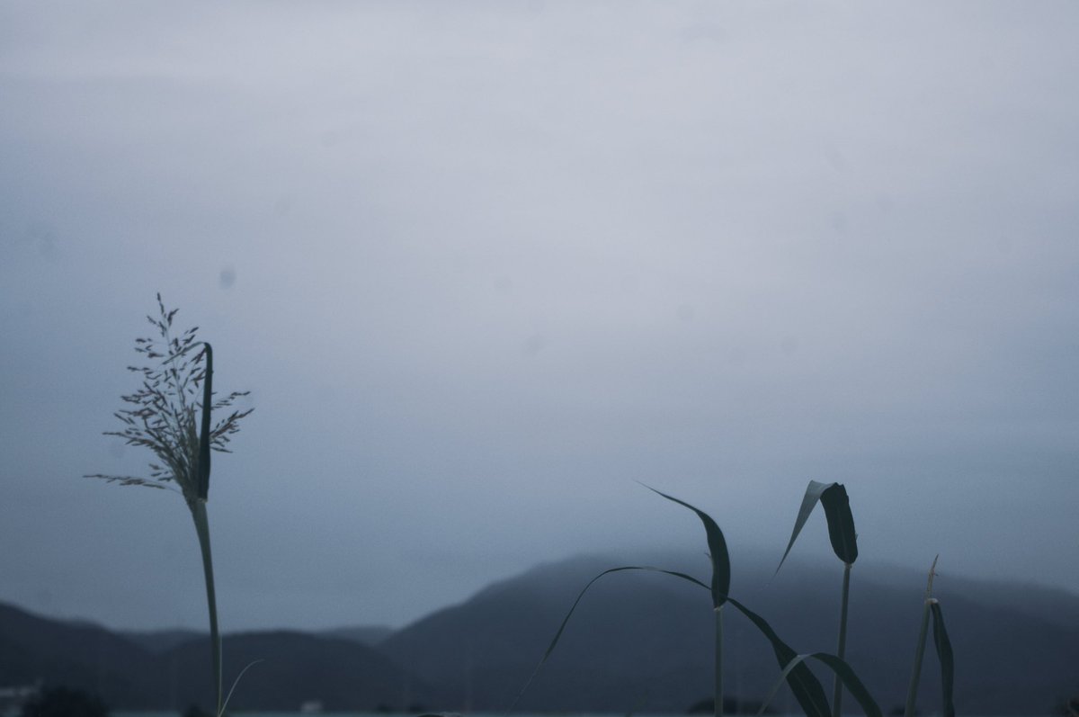 hiroyki_m's tweet photo. 薄明から朝の時間

寝れない時は時折、朝の風景を撮りに行くこともあります。 https://t.co/hK9rVsMnn7