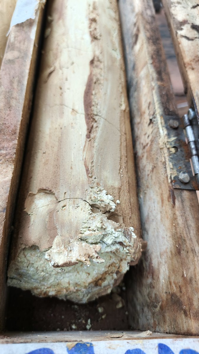 DeborahTusingw4's tweet photo. Drilling or AI
Now AI can identify minerals, fractures, textures, and alteration in hours instead of weeks.
Need mineral exploration?
call us:
+256770836731
#Geoscientist #ertificialintelligence #Geology #mineralexploration #mining https://t.co/LiXHR7URSL