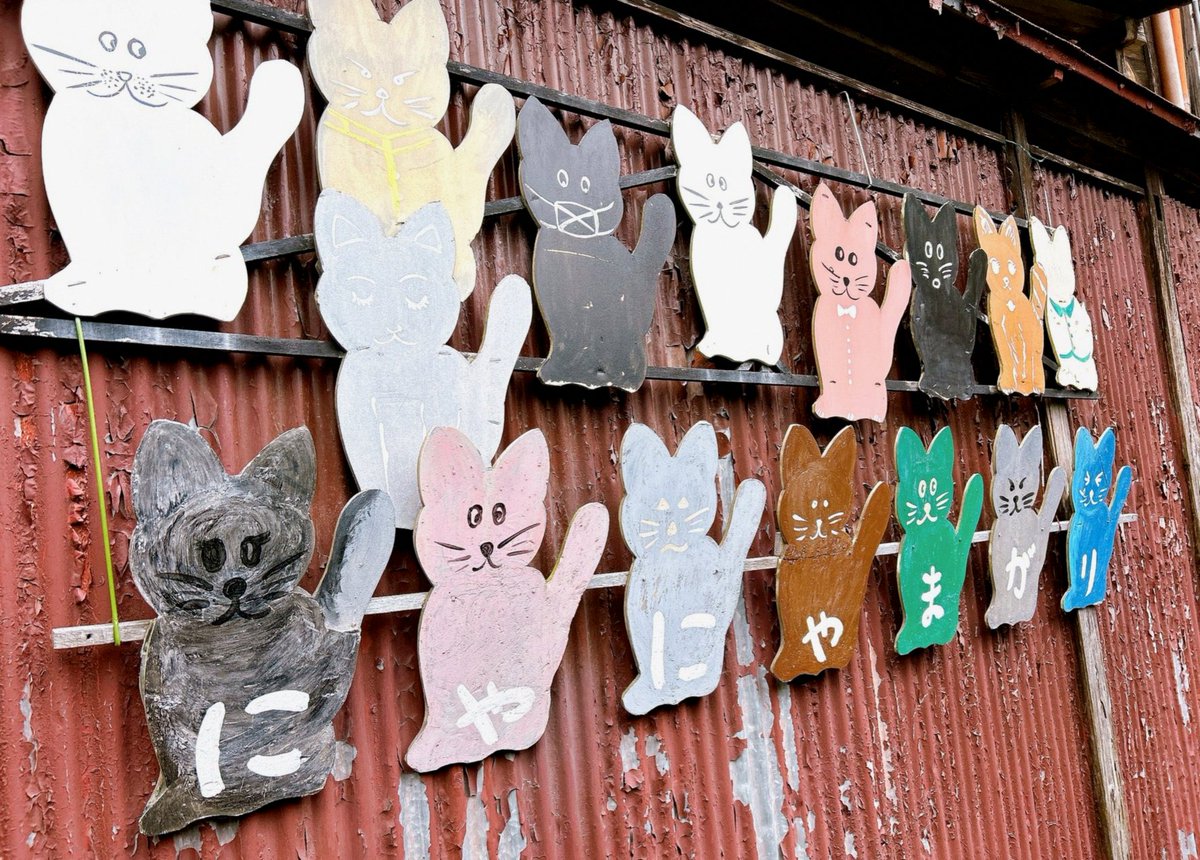 08_tuna's tweet photo. 登録してくれてる方増えたーって思ってたら普通に減ってて少し凹む😿笑 https://t.co/zEZ9aMCfgH