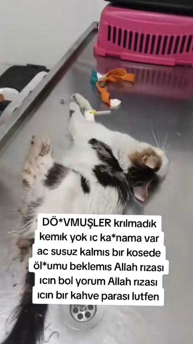 SsAfsusd's tweet photo. İzmir bunu yapanın O. Ç çoçuklarının ne yazayım şuanda klinikte maddi yardım bir kahve parası götüren kişi tek başına mümkün değil yaşatalım masumu dua ve desteklerimizle ne olur bakıp geçmeyin durumu ciddi yardım artık yazabilicek birşey bulamıyırum bu kadar vahşete dondum ben😡 https://t.co/IavWH70DoM