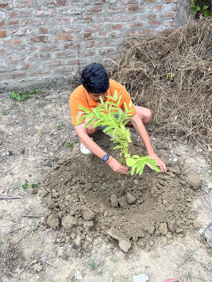 DivyamKumar123's tweet photo. Planting a little hope for tomorrow. Every small action counts when it comes to giving back to the earth. https://t.co/kngGFlnOtR