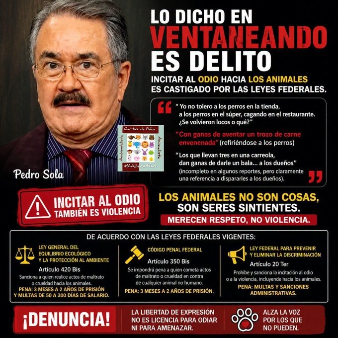 Mire_SanchezF's tweet photo. @FundacionTomy https://t.co/7PjmRnjsF3