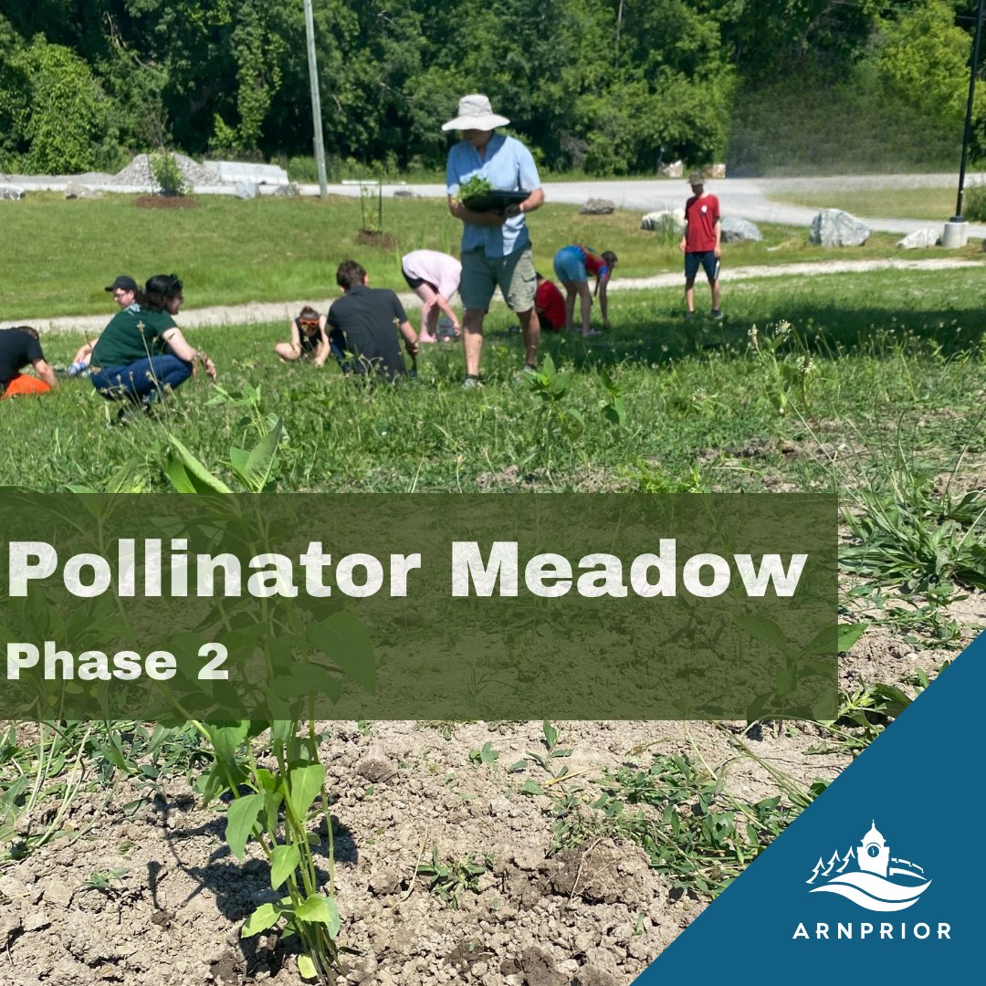 arnprior's tweet photo. Thanks to the help of Ottawa Valley Community Connections, we have completed the second phase of the Pollinator Meadow and planted 500 native plants. Please stay out of the marked-off area near the marina. More about this project can be found at https://t.co/BNmsvsvaxW https://t.co/9Q7pEzrYVR