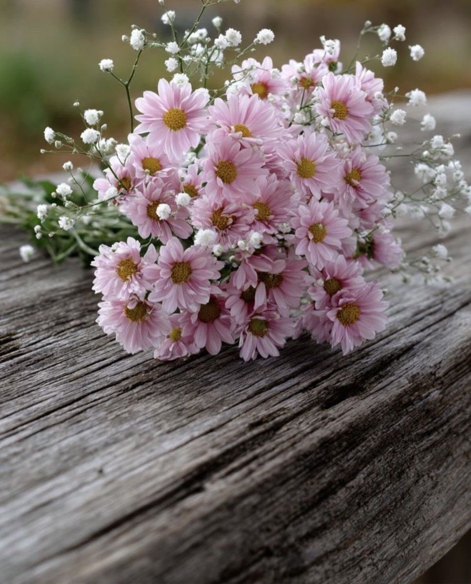 0x_0z's tweet photo. أڪٺبُ ما تؤجر عليه
ِ          إسٺغفار ، آية ، دعاء ، أذڪار ، ٺسبيح
ِ          لعلها ٺشفع ليّ ولڪُـم يُـوم القيامه🕊

#مساء_الخـير 
.
.
.
.
.
.
.
.
.
.

#دعاء   #ذكر   #تسبيح   #الحمدلله
  #استغفر_الله_العظيم_وآتوب_إليه https://t.co/t0e1rV22qt