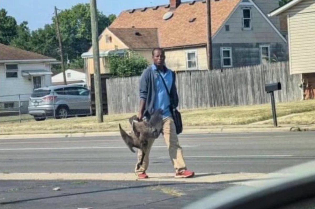 HomesteadAmeric's tweet photo. @ActivePatriotUK This is what they always do. But your LEADERS fail to do anything about it. SPRINGFIELD, OHIO! https://t.co/rYwKIaFnWD