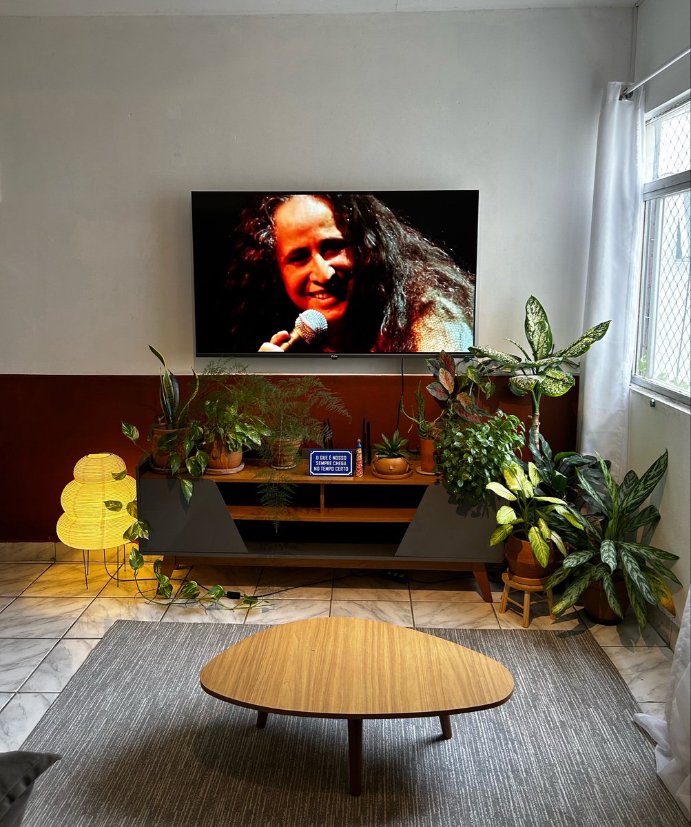 SkrgParadise's tweet photo. Apartamento de um senhor de 30 anos pai de planta https://t.co/c4D6tsbWAe