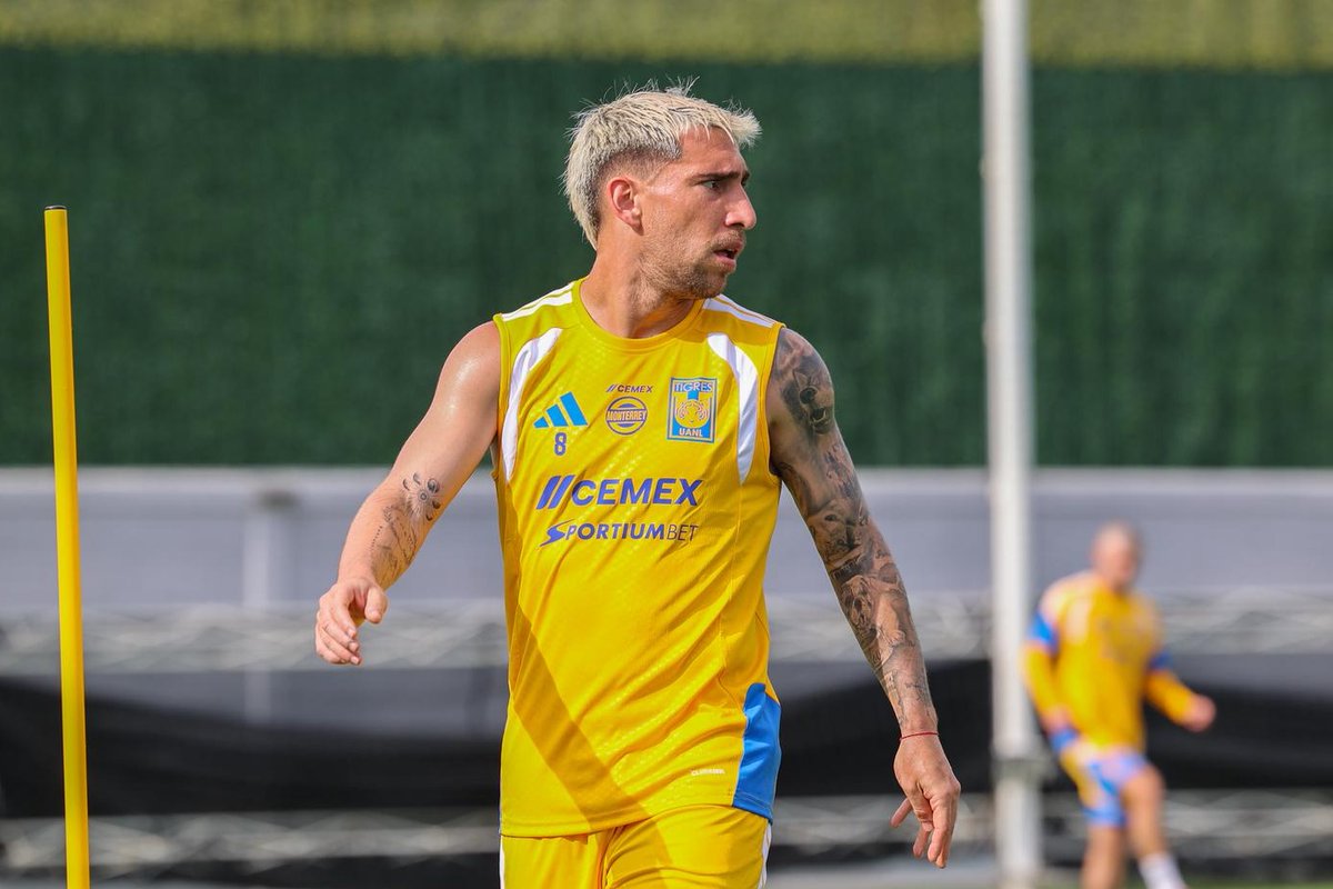 Club Tigres 🐯 tweet media