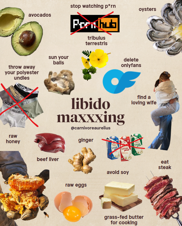 AlpacaAurelius's tweet photo. libido = health = drive for life https://t.co/bs7sgoKvV4