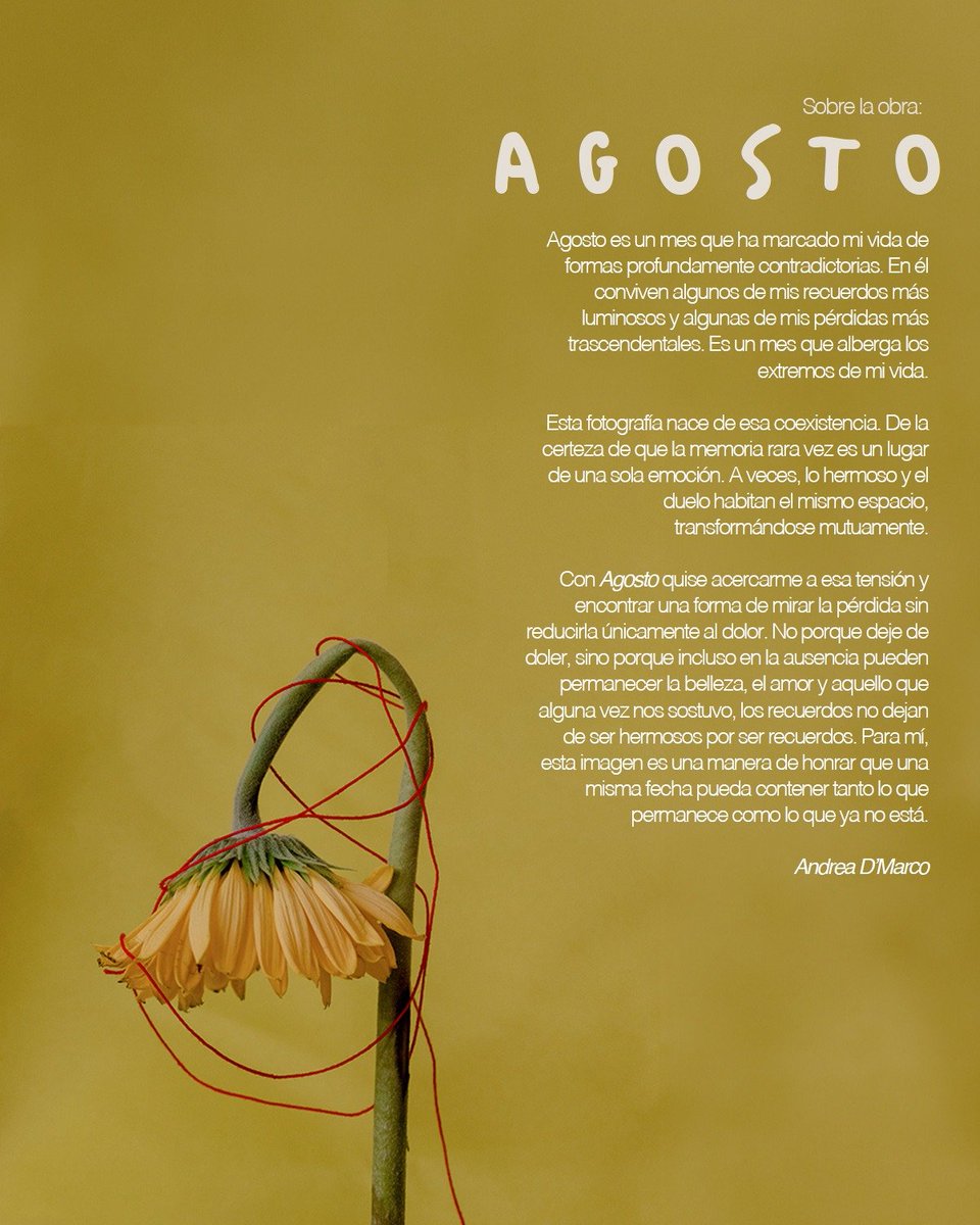 andreadmarco's tweet photo. Sobre la rifa y la obra https://t.co/AkUB2tkule