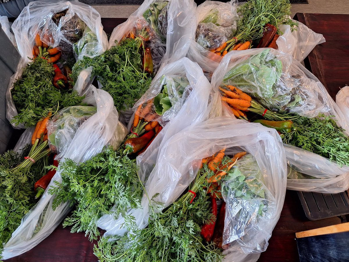 PthwysKingston's tweet photo. A huge thank you to Fat Chance Farmstead for their generous Farmshare donations! 🌱 Fresh, locally grown food helps nourish our students and strengthens our community. We’re grateful for your support! 💚 #PathwaysToEducation #SupportLocal #Kingston https://t.co/a3g2WYMhwT